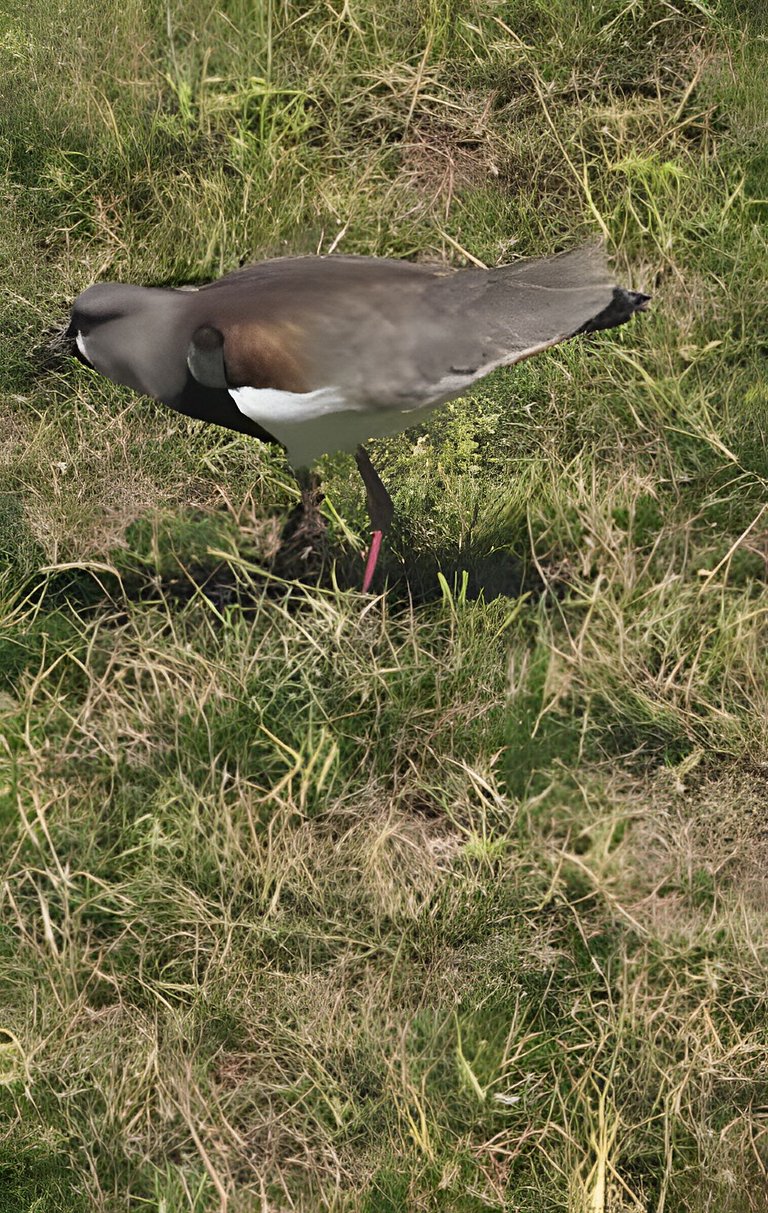 Casa Pé na Areia, Praia de Itaúna, Saquarema, Rj.