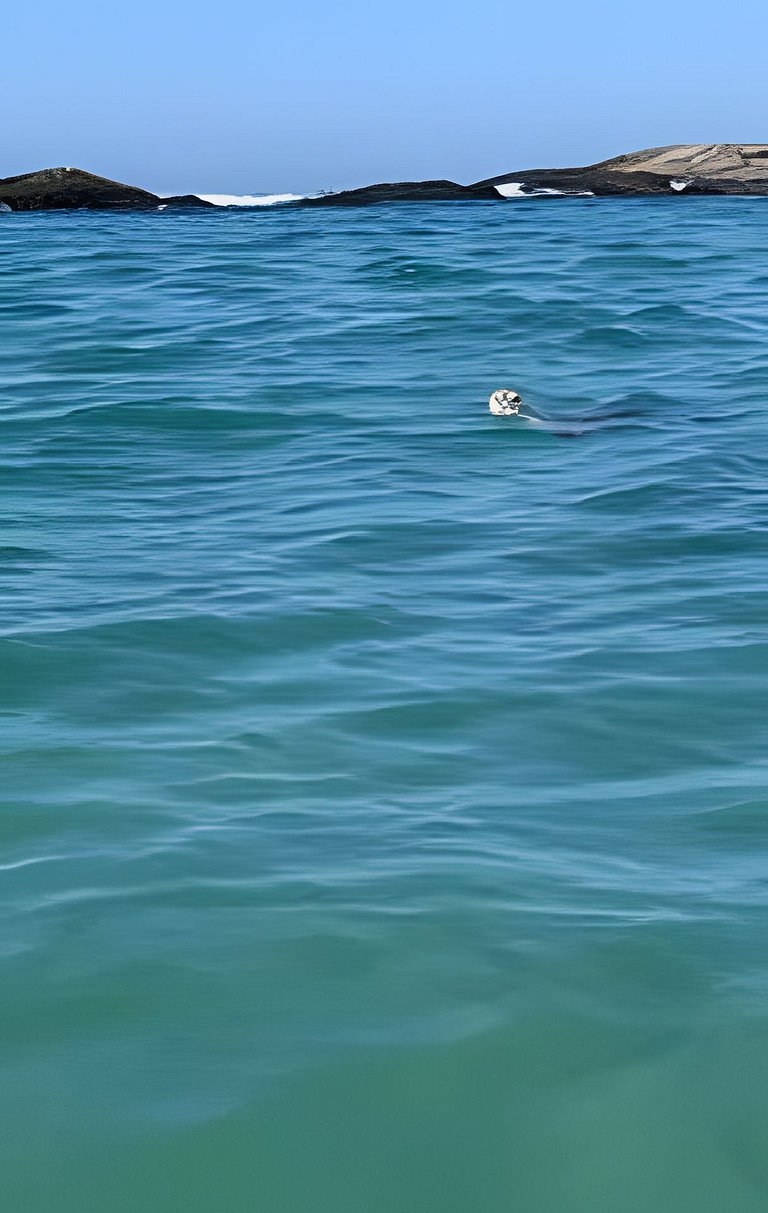 Chalé Lua pé na areia na propriedade DivinoRecanto
